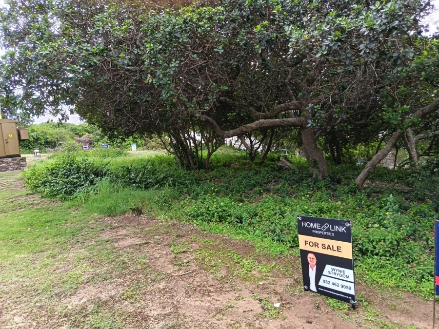 0 Bedroom Property for Sale in Bergsig Western Cape